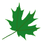 about us leaf 1