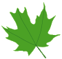 about us leaf 3