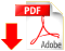acrobat icon