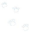 foxcubs footsteps