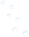 foxcubs footsteps