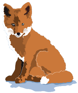 foxcubs fox