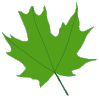 foxcubs leaf 2