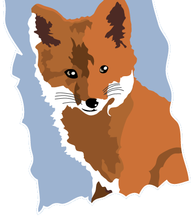foxcubs paint foxcub