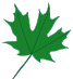 foxcubs paint leaf 1