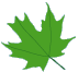 foxcubs paint leaf 2