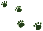 parent info footsteps