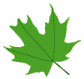parent info leaf 2