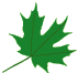 parent info leaf 3