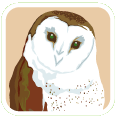parent info owl