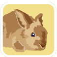 parent info rabbit
