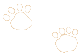 preschool footsteps