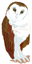 preschool owl