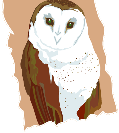 preschool paint owl