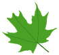 privacy leaf 2