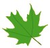 woodlands 3 leaf 1