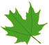 woodlands paint leaf 2