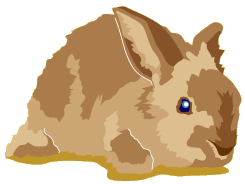woodlands rabbit